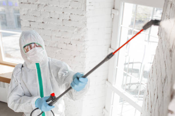 Best HVAC Mold Inspection and Cleaning  in East Milton, FL