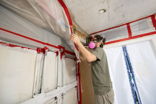 Best Mold Damage Restoration  in East Milton, FL
