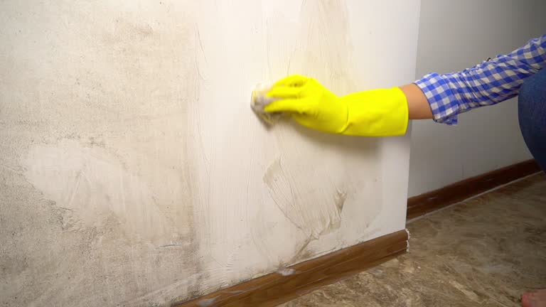 Best Mold Removal for HVAC Installations  in East Milton, FL